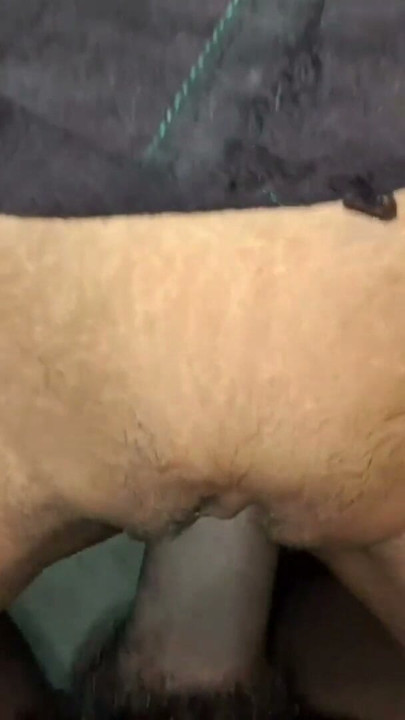 I made my sexy sister-in-law wear such a saree that I made her lick my pussy and fucked her pussy with a thick dick, desi sexy | Clip 2