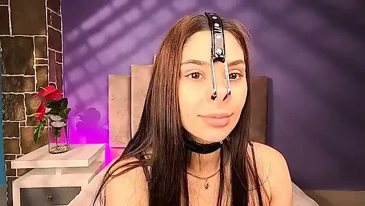 Свинья нос арпень