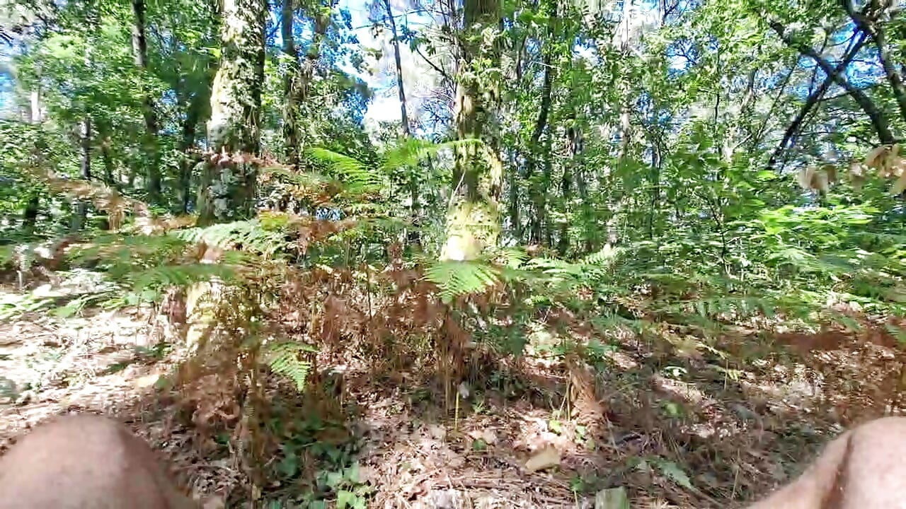 An hour of jerking in the middle of the forest, remi06cam4