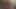 We are young - kinky futanari 3d animation