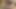 Sapık dövmeli genç kız hayatının en iyi oral seksini yapıyor!