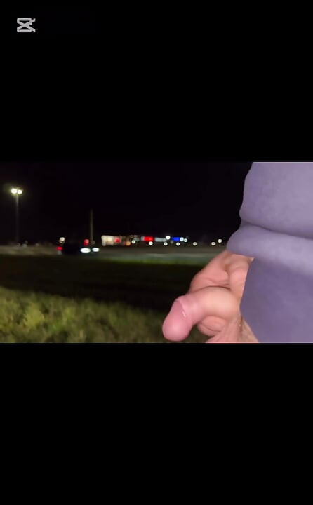 Public Dickflash Compilation