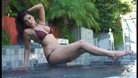 Poolside Sunny