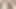 TikTok video 233