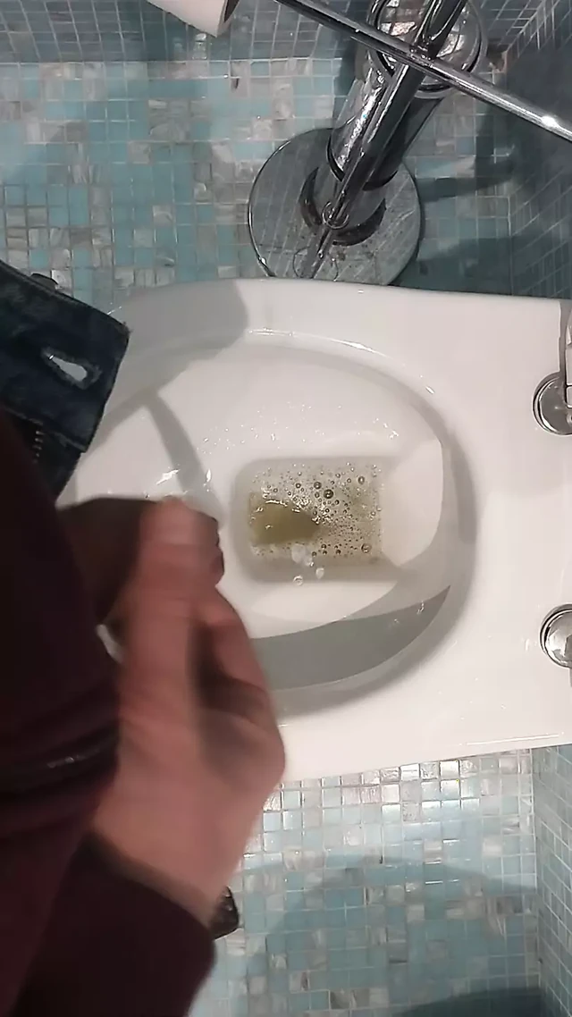 POV Pissing in the Toilet