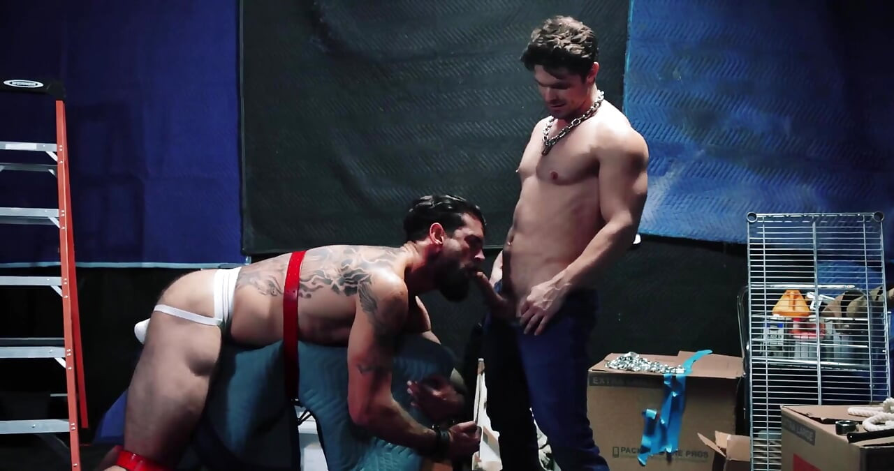 Flogging Alpha