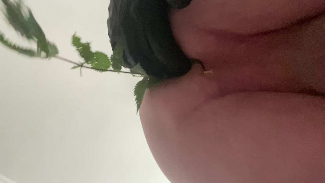 Stinging pleasure