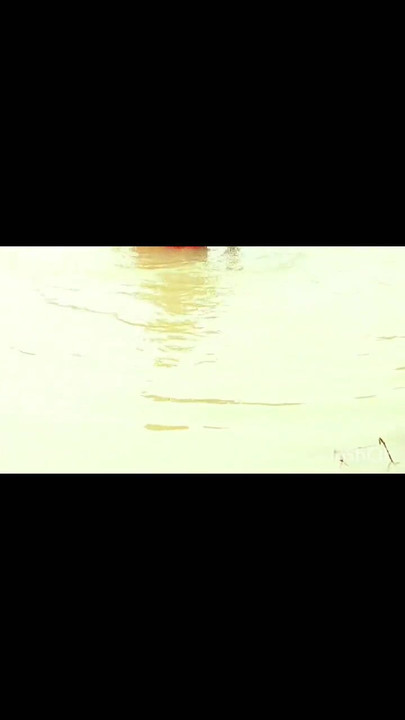Mächtiger moment von "Outdoor-spaß und bad im fluss"