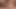 Twistys - Kendra James, Ashley Graham birbirlerini yalıyor