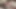 Two beautiful girls having sex in the museum - 3D Animation