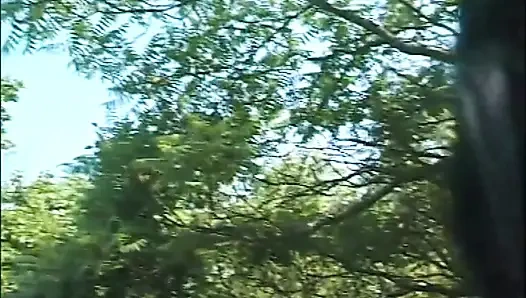 Sin Beaches (full Porn Movie)