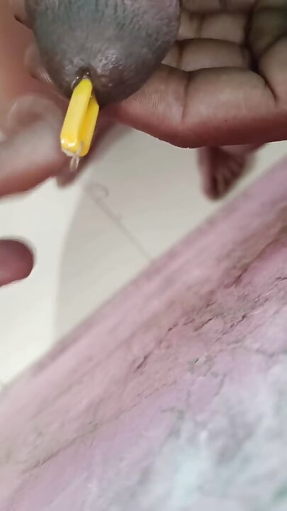 Small Black Cock