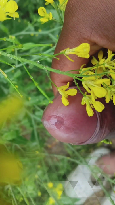 "I went to the mustard field and saw my stepaunt and started jerking | Clip 1