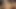 Blondebutsmart dik yalnız at evde