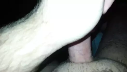 Büyük döl