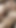 アンナはすべてのレズビアンの活動を学びたい |クリップ2