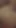 Key moment from "Hentai 3D - Facial Cum and Pussy Squirting (Uncensored)"