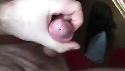 SloMo 2