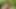 Indian desi boy masturbation on the mountain