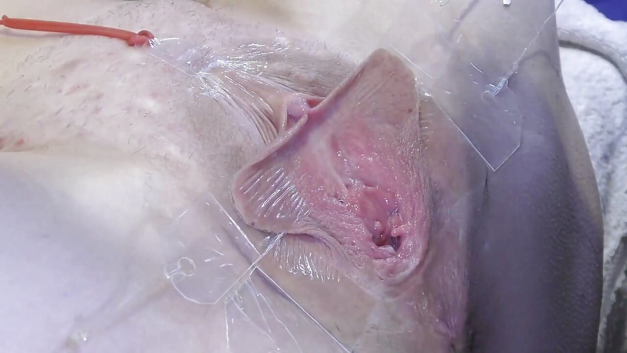 3 buceta lambendo aberta longe de muito perto