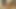 Allison Pussy Masturbation in the Bed