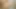Video of my girlfriend masturbating in the bathroom until she ends up rich