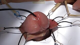 foreskinplay