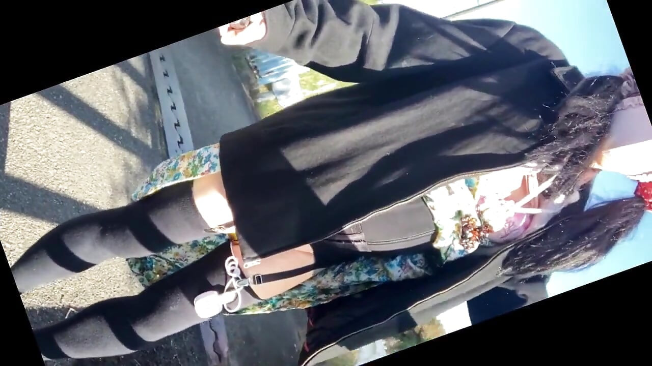 独立训练24号暴露步行 从早晨开始