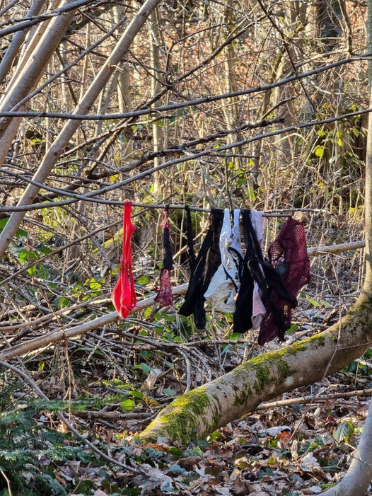 Found a stranger’s Thong and String in the woods and covered them in my cum