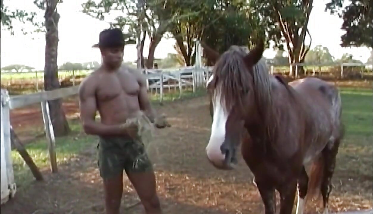 Dos pollas musculosas comparten placer anal a pelo