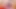 Dildo Training for Sissies, Femboys, Anal Sluts and Other Cock-hungry Holes - Ride Your Dildo Full of Passion.