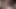 2 seksi kız iki zavallı küçük emmenin tadını çıkarıyor