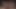 PETERFEVERマナブとラムは、チンポをしゃぶった後に生で繁殖します