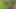 Daddy Getting Fucked in the Forest