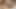 In quarantine, I fucked my fat stepmom with huge tits at her job. Macromastia.