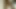 Papua new guinea sex dengan wanita kulit hitam bagian 4