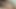 Pinoy-Hengst Blowjob (44 '')