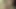 la puta perra caliente