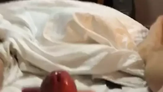 Bolca döl... nefis