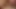 First person blowjob, close up