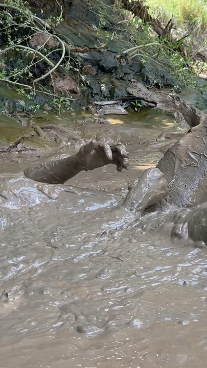 MUD JACKOFF | Clip 2