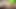 Animasi permainan fantasi 3d - adegan pengembaraan Harem (permainan sinematik)