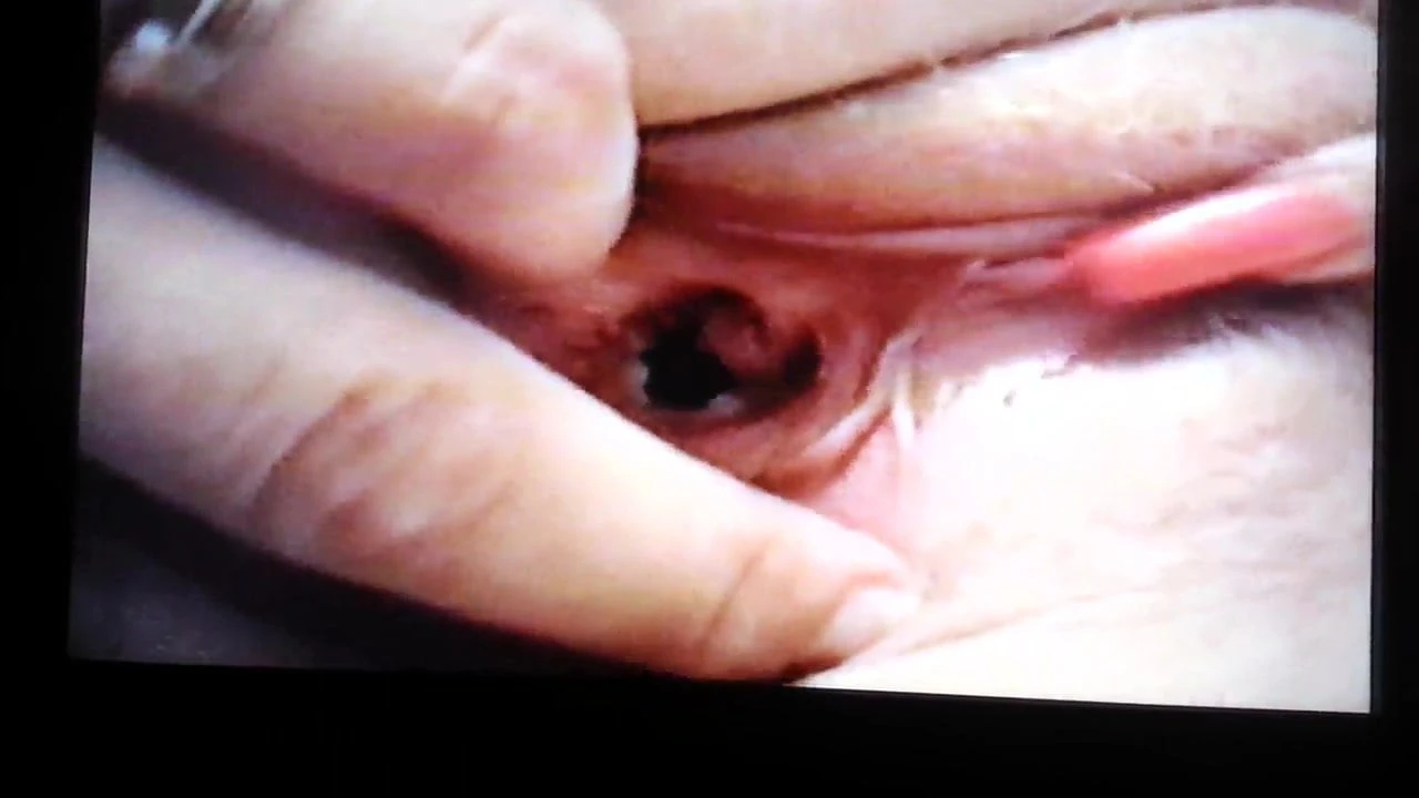cock sucker