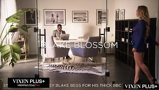 Vixenplus derleme arasında sıkışıyor