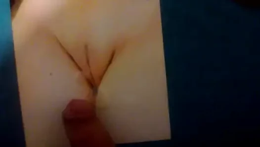 elfee00 için videotribute