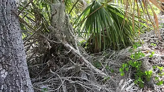 Bts Naturspaziergang und Masturbation auf dem Trail
