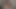 精子を食べる