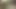 Late night cumshot