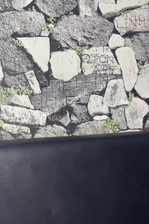 Azgın üvey oğul