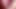 Mirror Frot